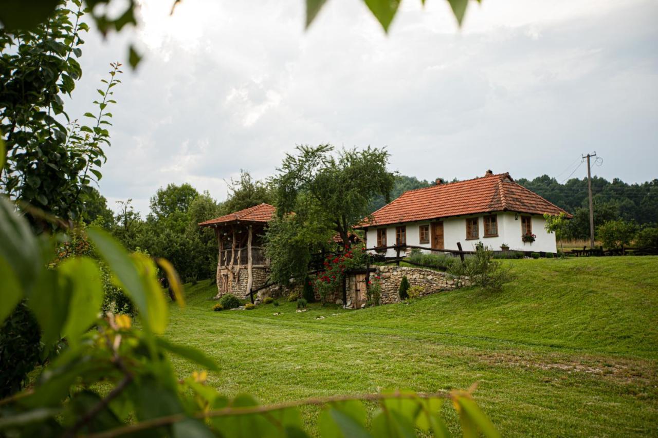 гардига * Pystan